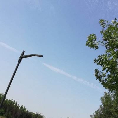 倩女幽魂oppo手游版下载
